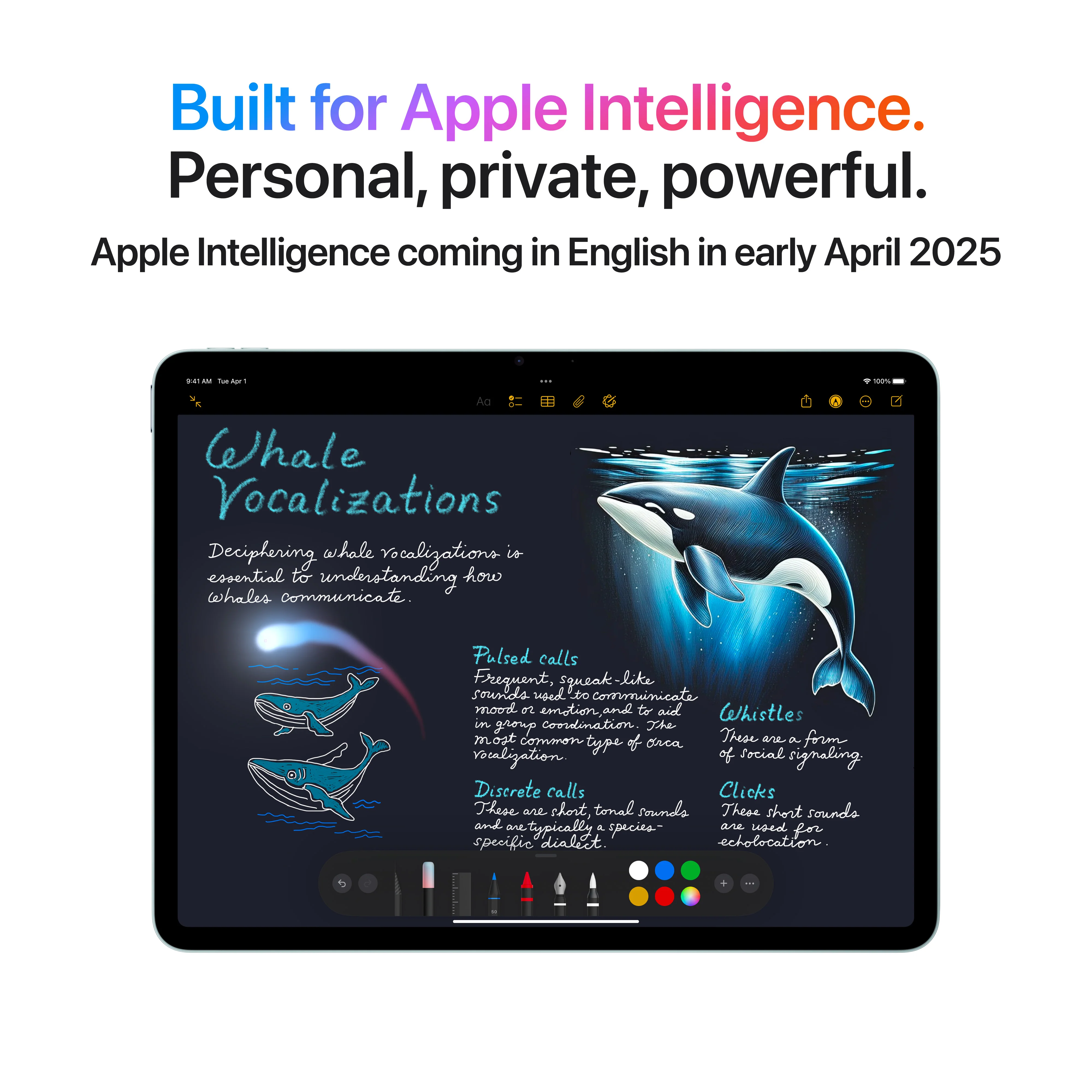 11-inch iPad Air Wi-Fi + Cellular 512GB - Space Gray (M3) - Image 5
